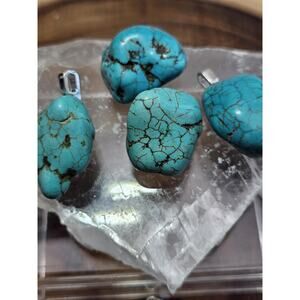 Howlite Turquoise Pendant w/16in 925 silver chain